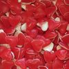 Coeur rouge et blanc lisse