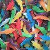Crocodiles lisses