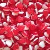 Petits Coeurs fraise-crème LISSES (gélatine de boeuf halal)