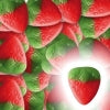 Fraises lisses (gélatine de boeuf halal)