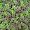 Mini Bouteille de cola verte et marron sucrée (gélatine de boeuf halal)